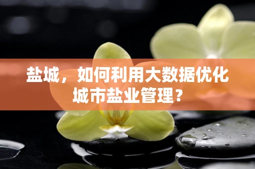 盐城，如何利用大数据优化城市盐业管理？