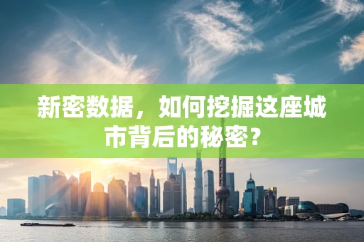 新密数据，如何挖掘这座城市背后的秘密？