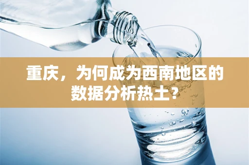 重庆，为何成为西南地区的数据分析热土？