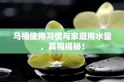 马桶使用习惯与家庭用水量，真相揭秘！