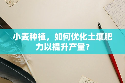 小麦种植，如何优化土壤肥力以提升产量？