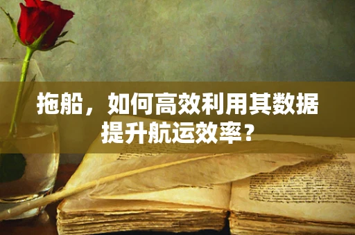 拖船，如何高效利用其数据提升航运效率？