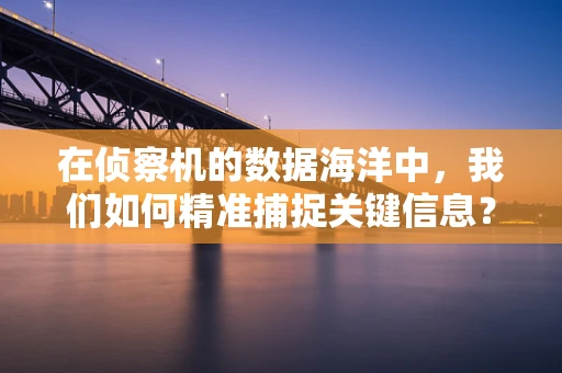 在侦察机的数据海洋中，我们如何精准捕捉关键信息？