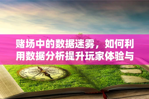 赌场中的数据迷雾，如何利用数据分析提升玩家体验与风险管理？