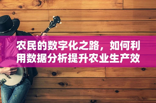 农民的数字化之路，如何利用数据分析提升农业生产效率？