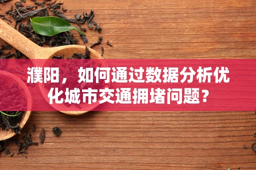 濮阳，如何通过数据分析优化城市交通拥堵问题？