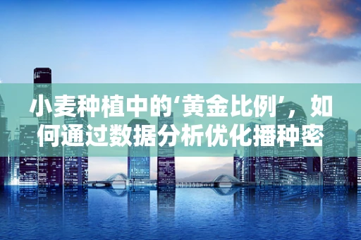 小麦种植中的‘黄金比例’，如何通过数据分析优化播种密度？