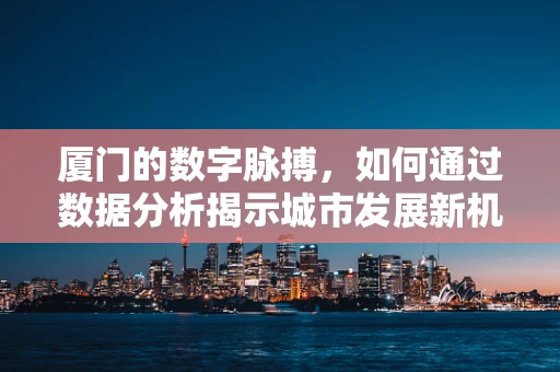厦门的数字脉搏，如何通过数据分析揭示城市发展新机遇？