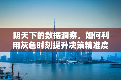 阴天下的数据洞察，如何利用灰色时刻提升决策精准度？