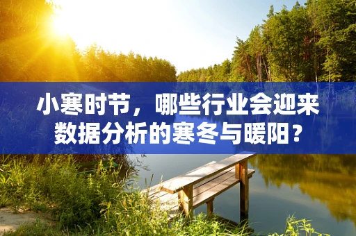 小寒时节，哪些行业会迎来数据分析的寒冬与暖阳？