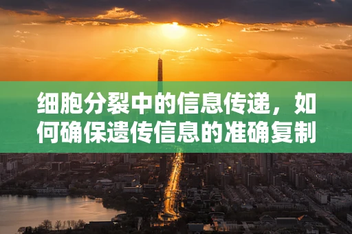 细胞分裂中的信息传递，如何确保遗传信息的准确复制？