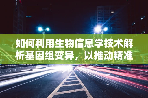 如何利用生物信息学技术解析基因组变异，以推动精准医疗的发展？