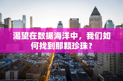 渴望在数据海洋中，我们如何找到那颗珍珠？