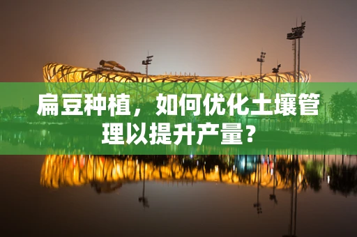 扁豆种植，如何优化土壤管理以提升产量？