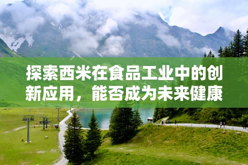 探索西米在食品工业中的创新应用，能否成为未来健康食品的明星成分？