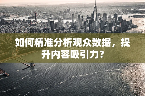如何精准分析观众数据，提升内容吸引力？