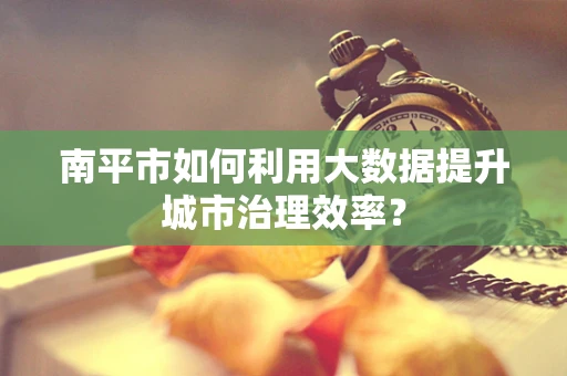 南平市如何利用大数据提升城市治理效率？