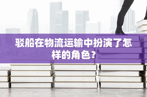 驳船在物流运输中扮演了怎样的角色？