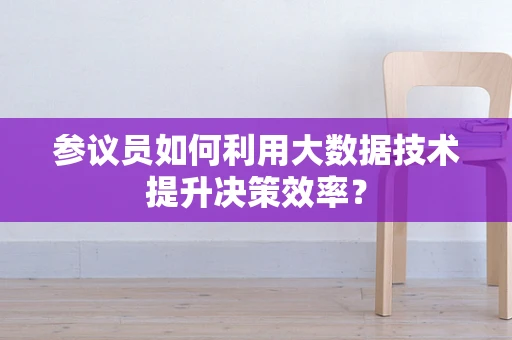 参议员如何利用大数据技术提升决策效率？