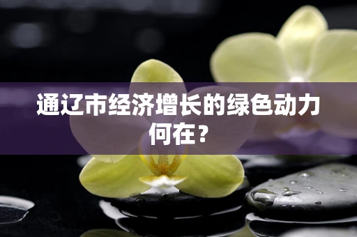 通辽市经济增长的绿色动力何在？