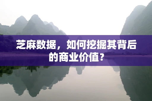 芝麻数据，如何挖掘其背后的商业价值？