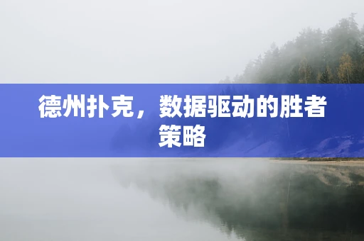 德州扑克，数据驱动的胜者策略