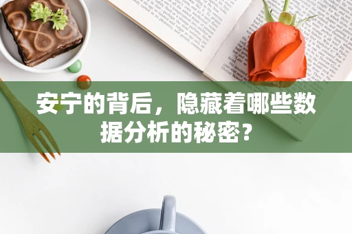 安宁的背后，隐藏着哪些数据分析的秘密？
