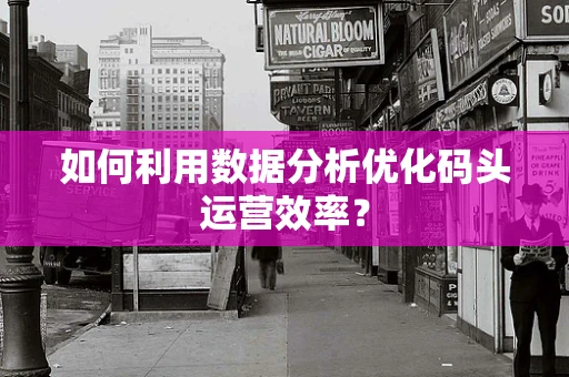如何利用数据分析优化码头运营效率？