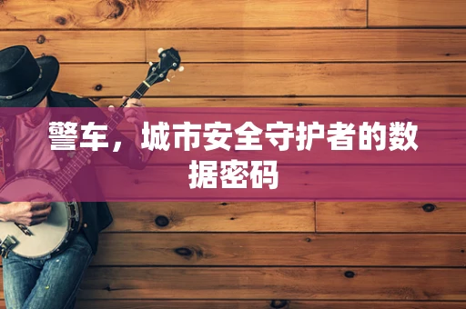 警车，城市安全守护者的数据密码