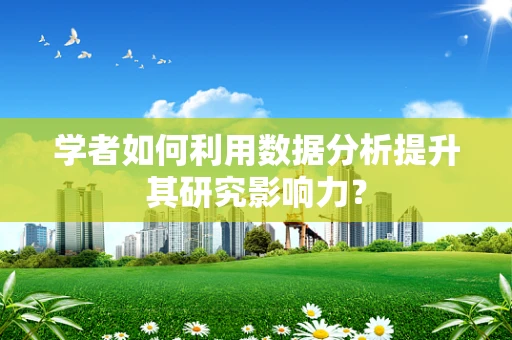 学者如何利用数据分析提升其研究影响力？