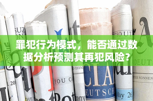罪犯行为模式，能否通过数据分析预测其再犯风险？