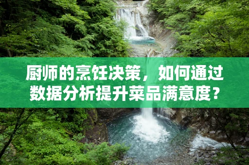 厨师的烹饪决策，如何通过数据分析提升菜品满意度？
