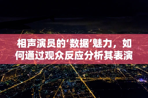 相声演员的‘数据’魅力，如何通过观众反应分析其表演效果？