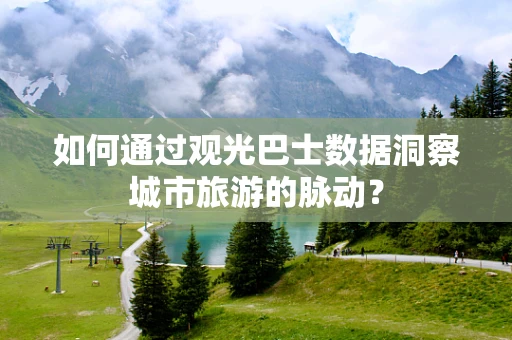 如何通过观光巴士数据洞察城市旅游的脉动？