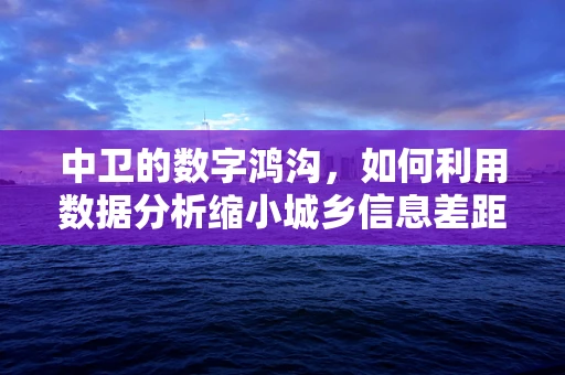 中卫的数字鸿沟，如何利用数据分析缩小城乡信息差距？
