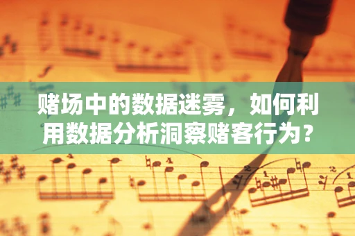 赌场中的数据迷雾，如何利用数据分析洞察赌客行为？