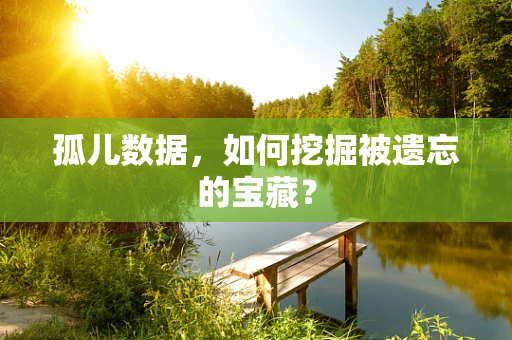 孤儿数据，如何挖掘被遗忘的宝藏？