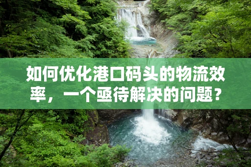 如何优化港口码头的物流效率，一个亟待解决的问题？
