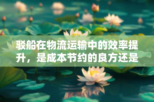 驳船在物流运输中的效率提升，是成本节约的良方还是技术挑战的考验？