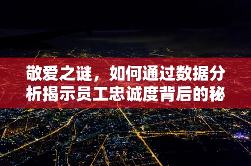 敬爱之谜，如何通过数据分析揭示员工忠诚度背后的秘密？