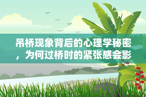 吊桥现象背后的心理学秘密，为何过桥时的紧张感会影响我们的情感体验？