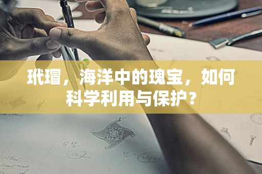 玳瑁，海洋中的瑰宝，如何科学利用与保护？
