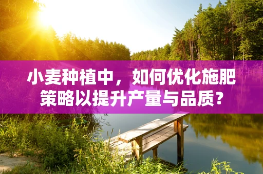 小麦种植中，如何优化施肥策略以提升产量与品质？