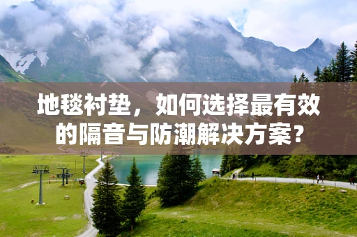 地毯衬垫，如何选择最有效的隔音与防潮解决方案？