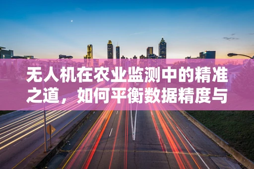 无人机在农业监测中的精准之道，如何平衡数据精度与成本效益？