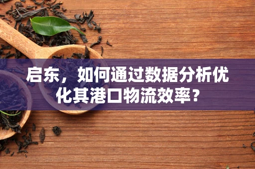 启东，如何通过数据分析优化其港口物流效率？