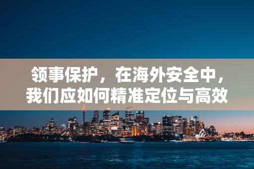 领事保护，在海外安全中，我们应如何精准定位与高效响应？