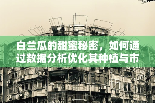 白兰瓜的甜蜜秘密，如何通过数据分析优化其种植与市场策略？