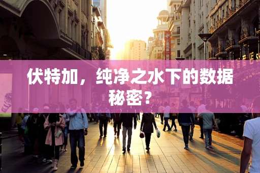 伏特加，纯净之水下的数据秘密？