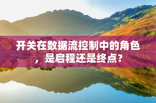 开关在数据流控制中的角色，是启程还是终点？